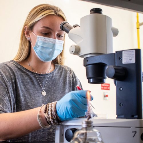 Student wearing mask and gloves looks into microcope