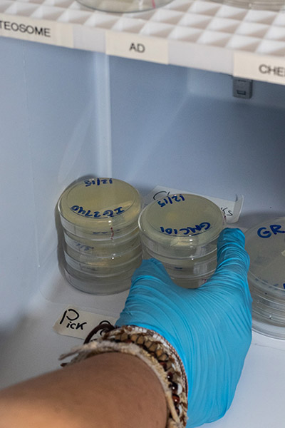Circular vials of worms in a freezer