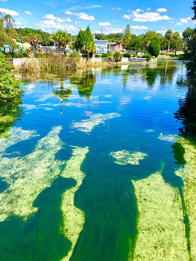 Colorful blue and green springs