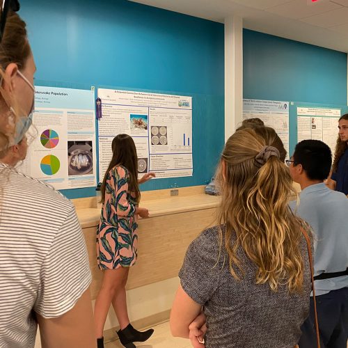 Student presents a poster as other student listen intently