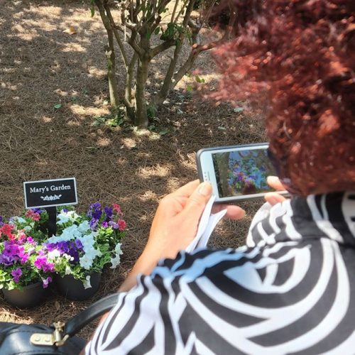 Attendee snaps a photo of flowers