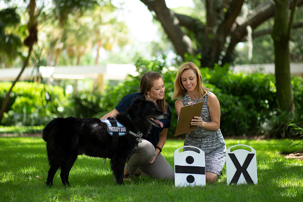 Psychological and health benefits of dog training study wins Presidential  Innovation Fund grant - News | Eckerd College