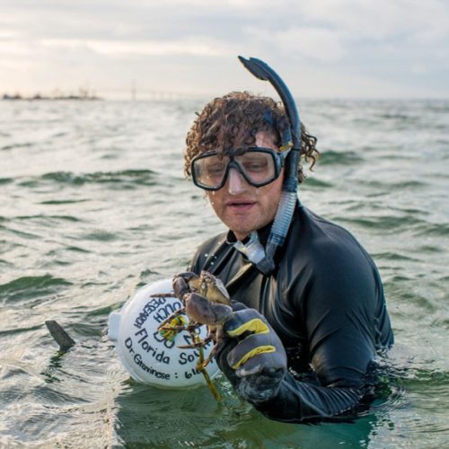 Professor wearing snorkeling gear and holding stone crab