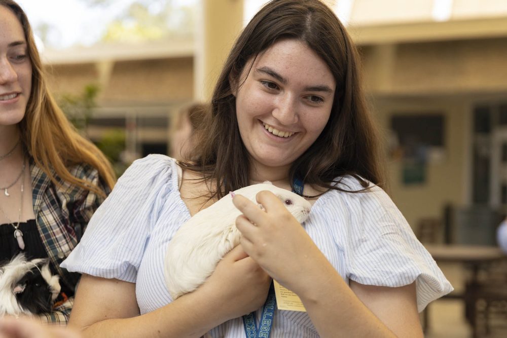 Student holding a guinea pig