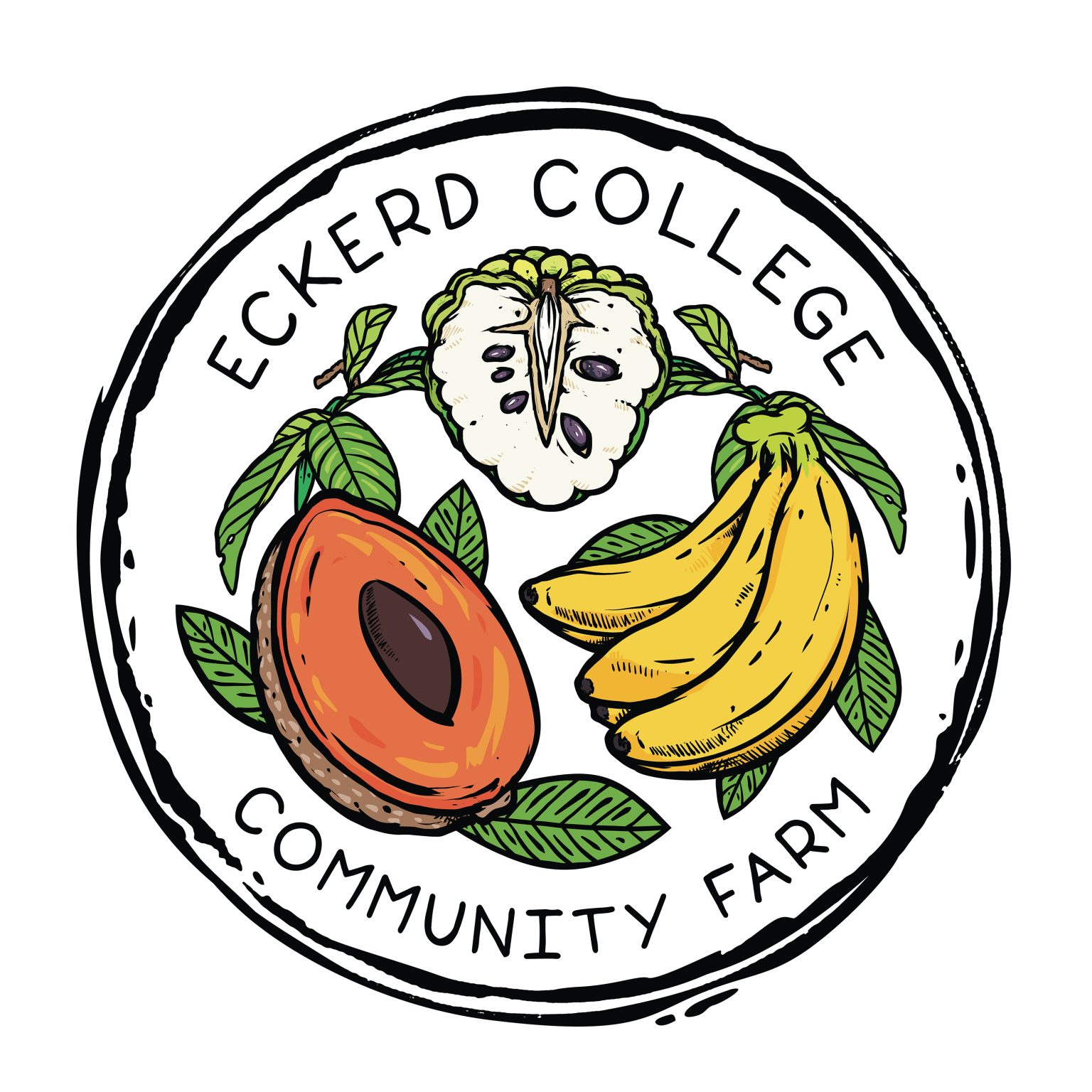 Eckerd College Schedule: Pro Tips For Academic Success - qnvjq2h