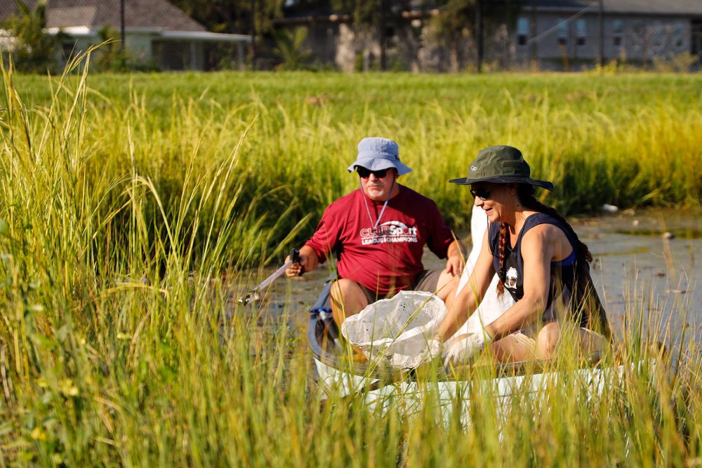 Two people in a canoe pulling trash from tall grasses
