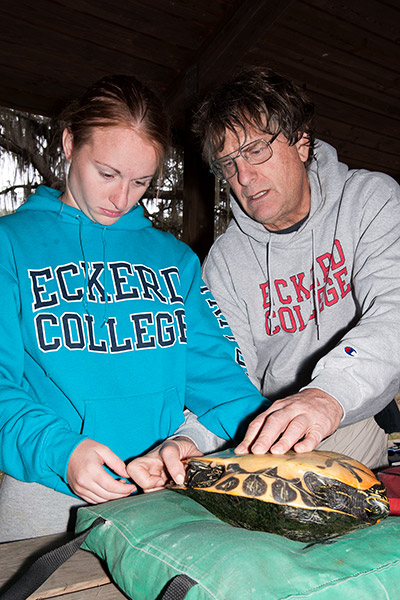 Professor helps student analyze a turtle on a picnic table