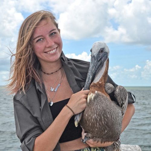 Student holding pelican by its beak