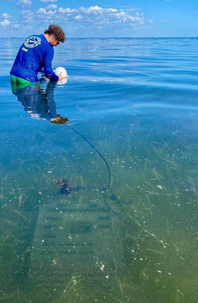Person in snorkeling gear walks through the water with equipment