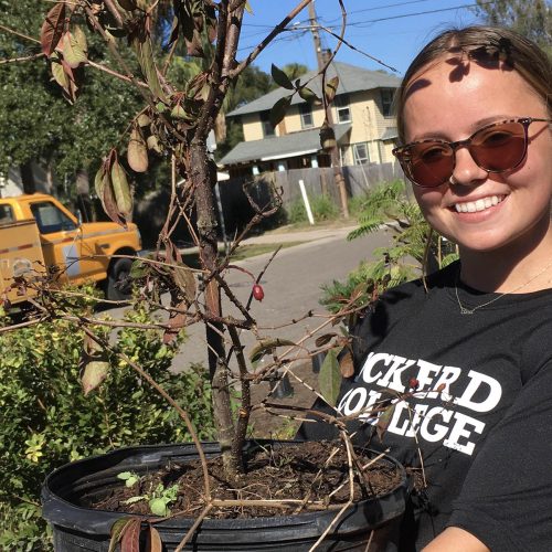 Student carrying large plant pot at an urban property