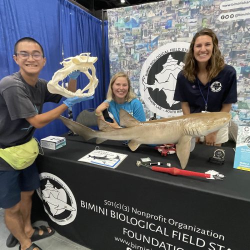 Student holds skull next to table at shark convention