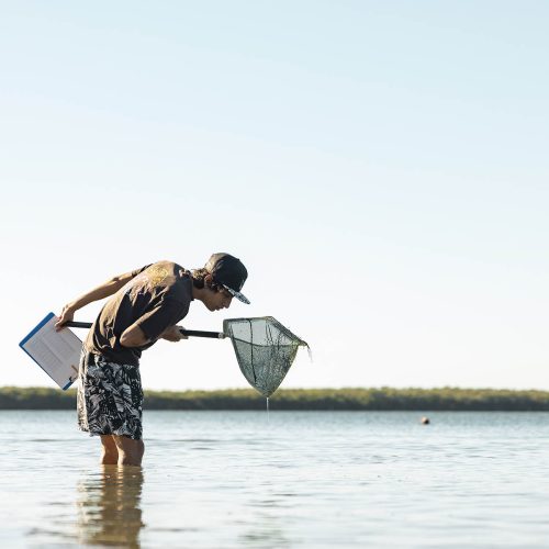 Student standing in water and looking at net