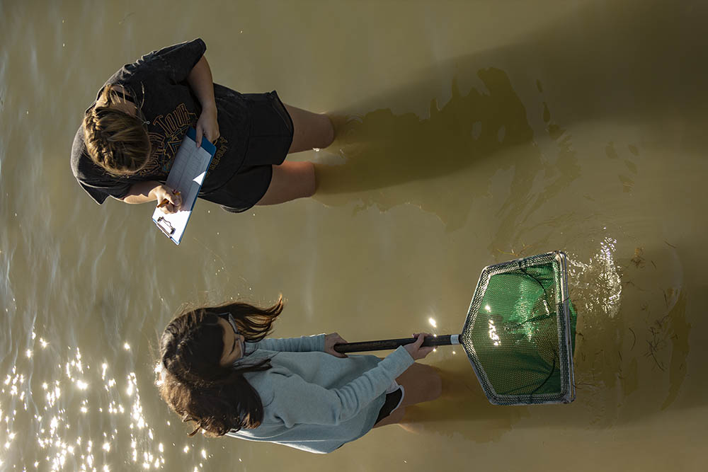 Students using net in the water and writing down notes