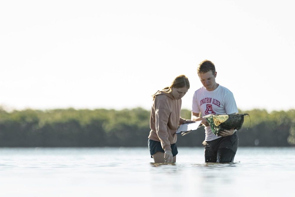 Ecosystems of Florida (19 of 28)