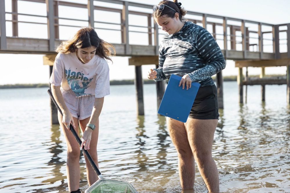 Two students using net to catch organisms in water