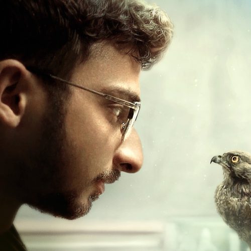 Man wearing glasses face to face with a bird of prey