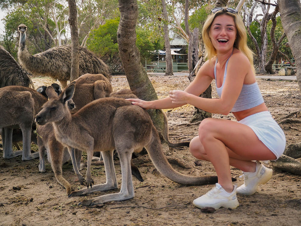 Student petting a kangaroo