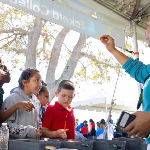 School children watch demonstration under tent