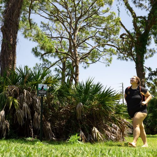 Student carrying backpack walks past stand of saw palmettos and sign