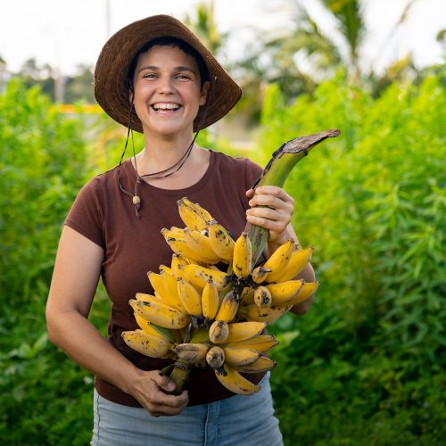 Maggie Jensen '11 holds a branch of banana pups on the Eckerd College Community Farm.