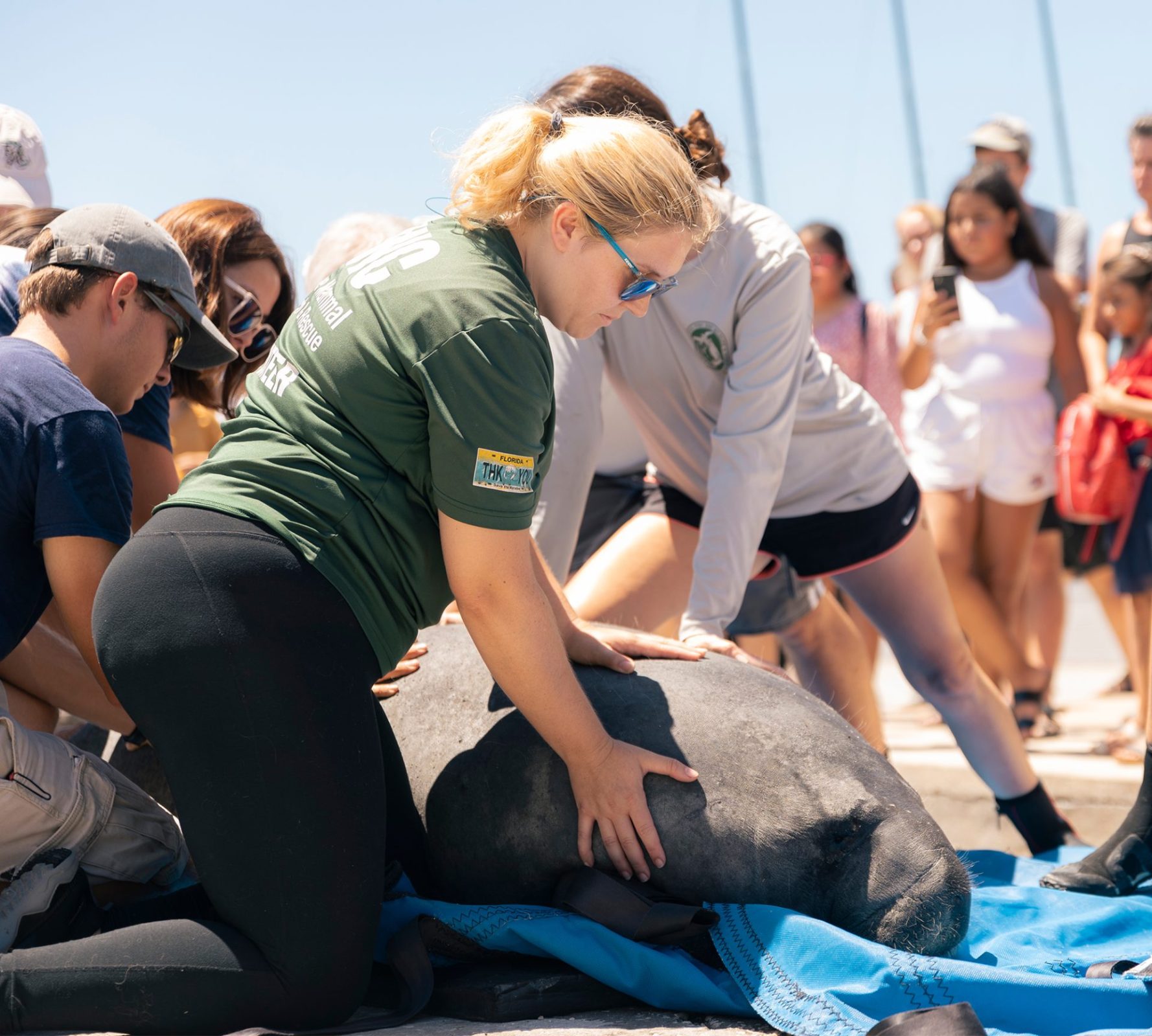 Miranda Cottrell ’20 holds Coventry with volunteers at the Eckerd College Waterfront.