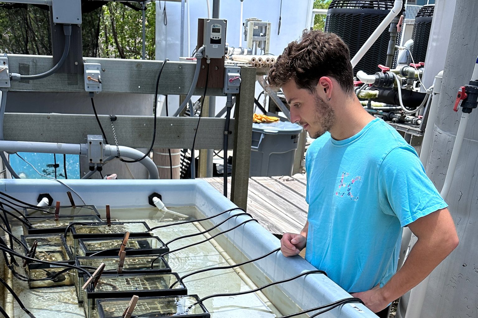 Eckerd College marine science professors and students race to help save