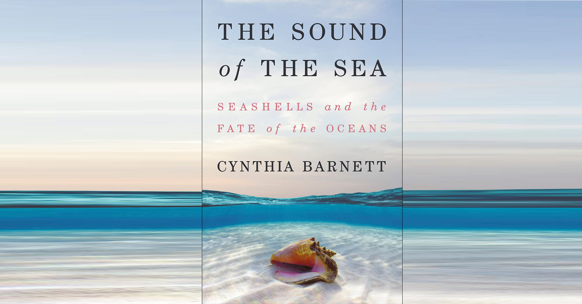 Book cover that reads "The Sound of the Sea" by Cynthia Barnett with a shell sitting on white sand