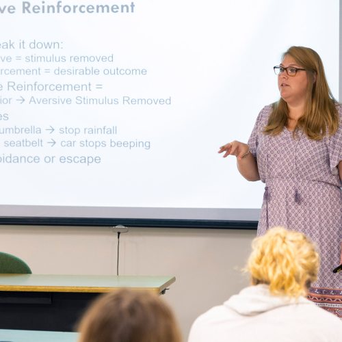 Professor in glasses lectures to students in front of a screen with the text "Negative Reinforcement"