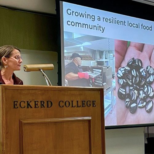 Melissa DeSa stands behind a lectern in Fox Hall next to screen displaying the title of her lecture.