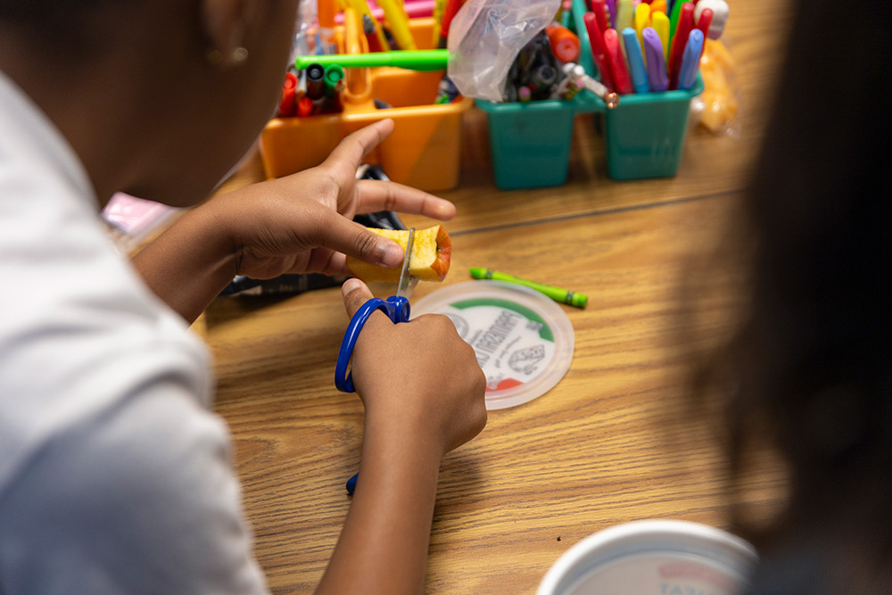 Over the shoulder view of a pupil using scissors to cut an apple