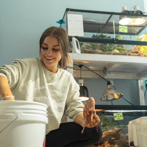 Young woman pulling bits of fish out of a white bucket in a lab