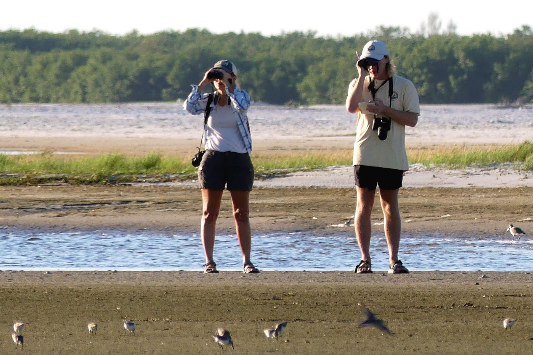 Professor and student look through binoculars at shore birds in park