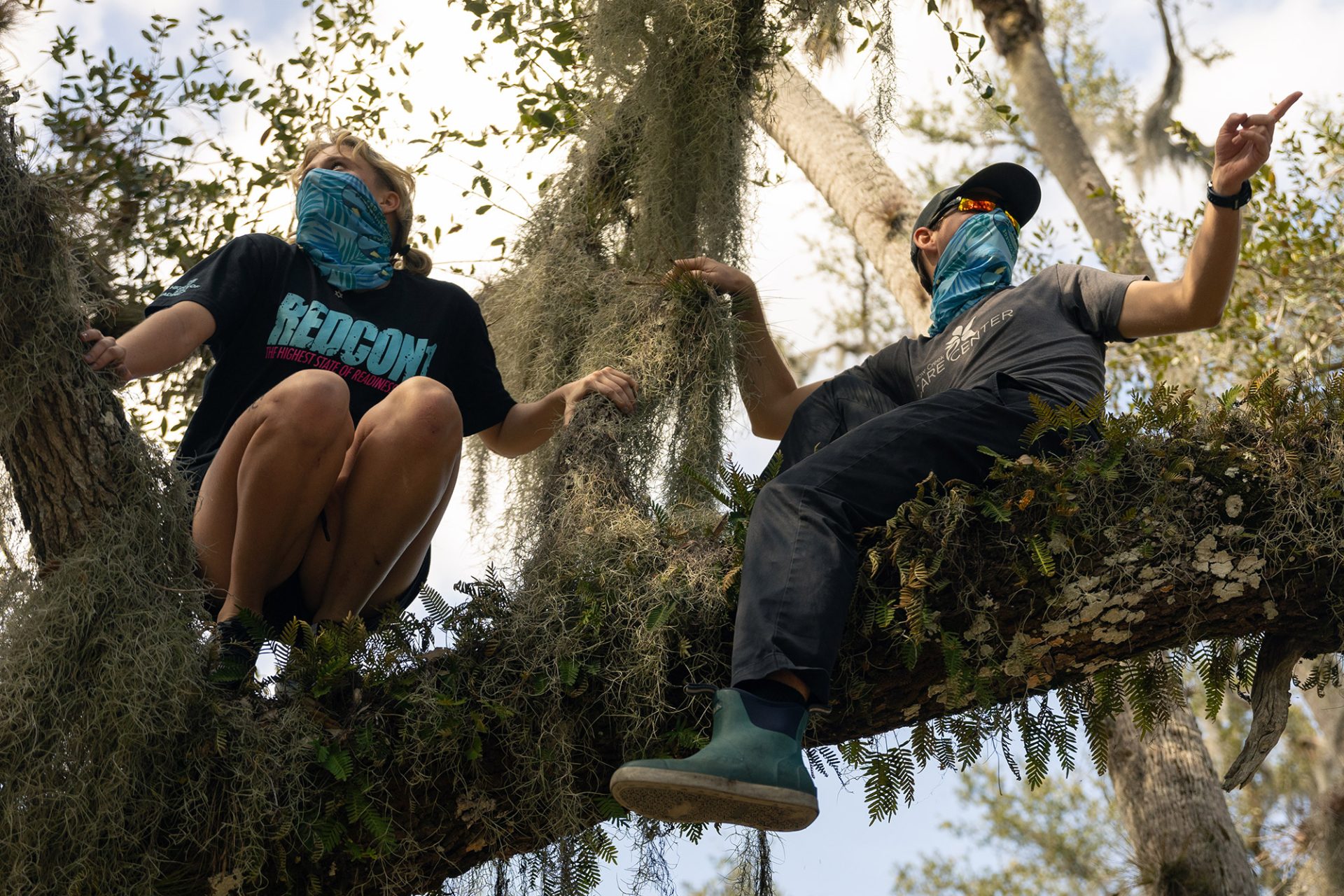 Two students wearing bandadas while sitting in a large oak tree