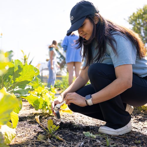 Student in baseball hat crouches down to put soil in a test tube