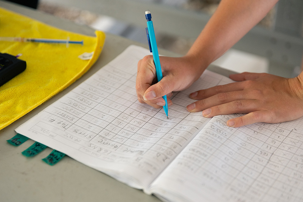 Hands of person writing data into notebook