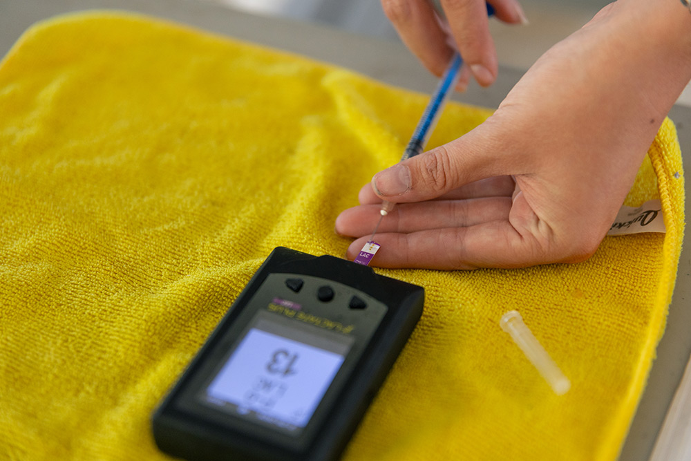 Hands holding a needle to digital thermostat