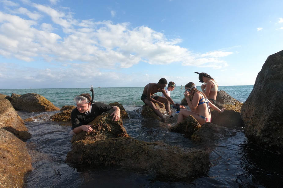 Group of students in snorkel gear sitting among rocks as tide comes in