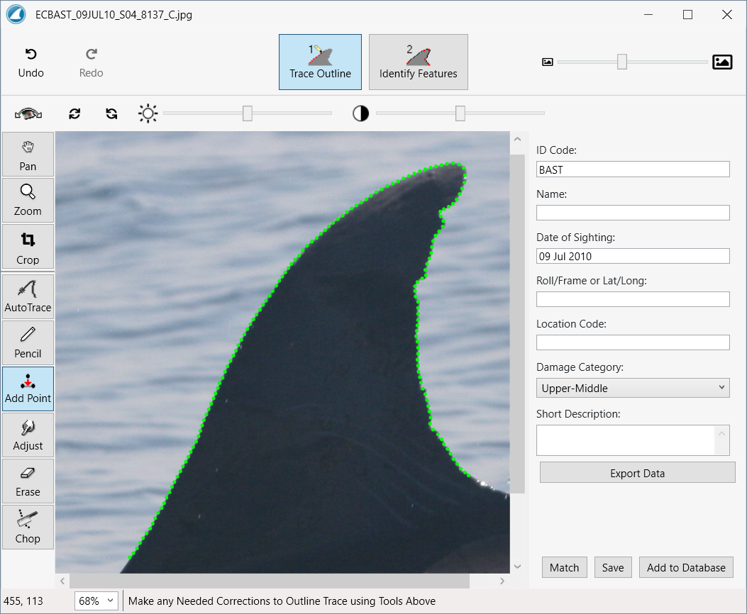 Screenshot of software showing dolphin dorsal fine with fine green outline