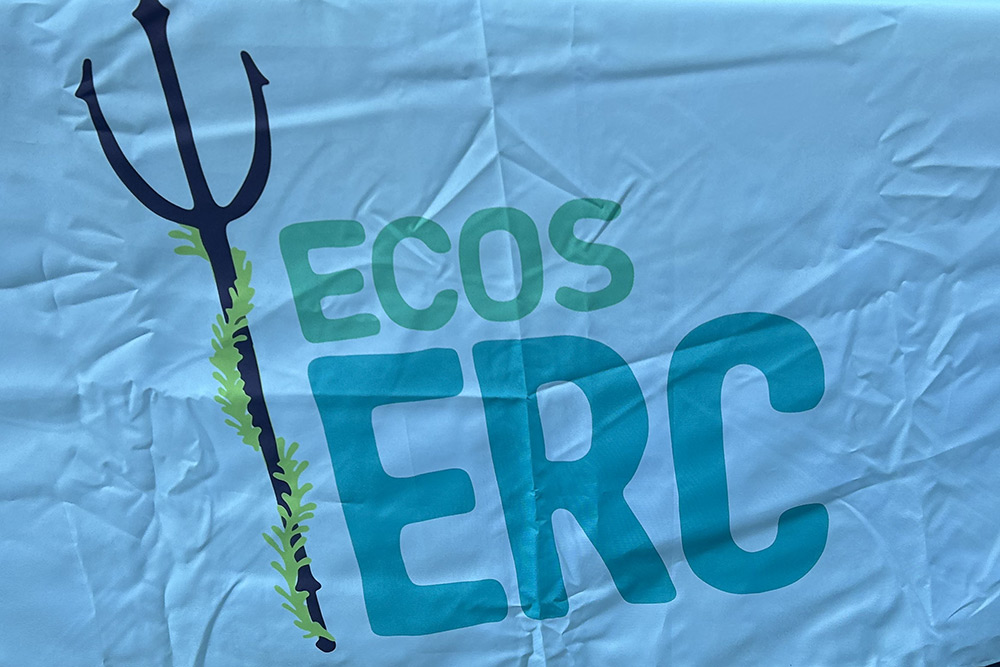 Graphic printed on sheet that reads "ECOS ERC" next to a trident