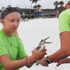 Student on beach holding immature bird with two hands while another scientist measures it