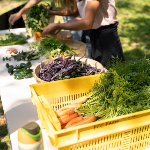 A table covered in bins and baskets of various vegetables