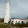 Students in single file line walk past a white lighthouse in an overgrown habitat