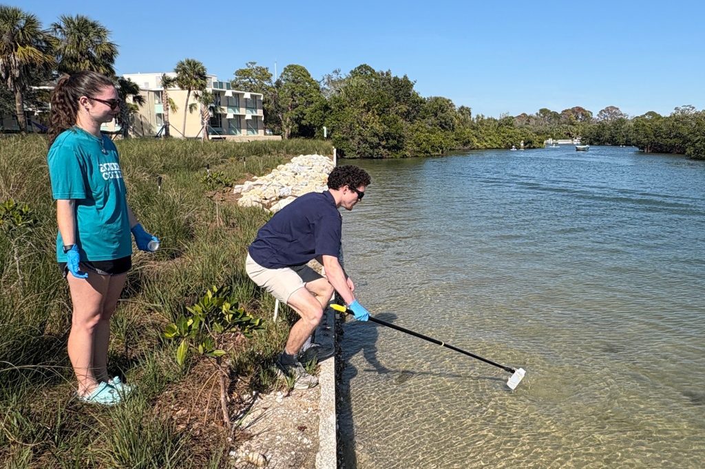 Two students wearing gloves use equipment to sample water at a saltwater creek