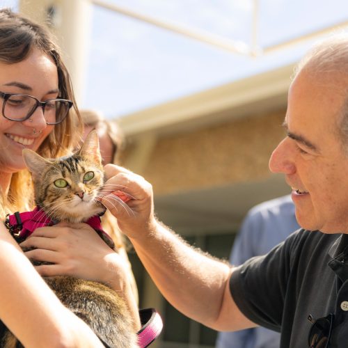 Rabbi caresses the cheek of a cat held by a student