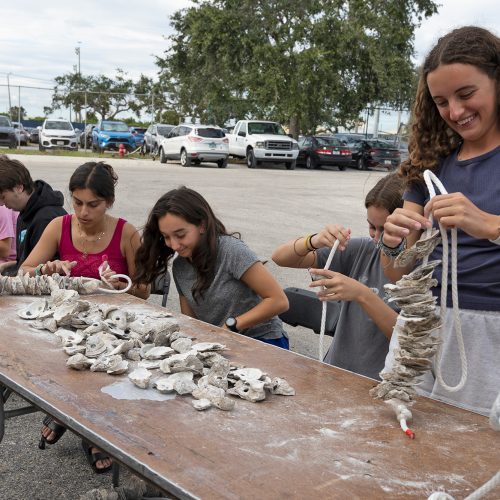 Students sit at a long table covered with oysters shells and string them together on ropes