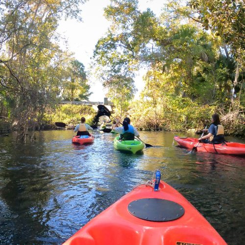 View from atop a kayak looking at kayakers ahead and a tree-lined river