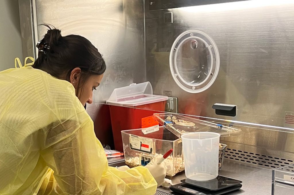 Student in yellow lab jacket leans over table where she uses scientific equipment