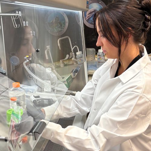 Student in lab jacket and gloves leans over table where she uses scientific equipment