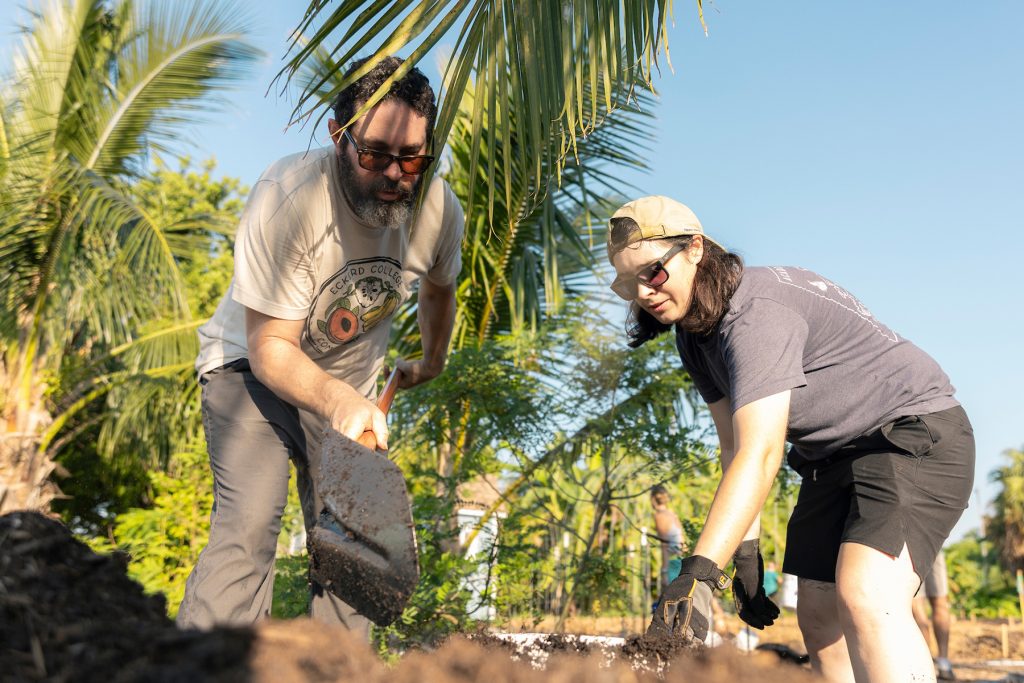 Professor and student work side by side using shovels to move mulch at a garden with palm trees