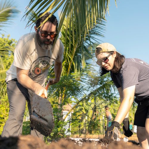 Professor and student work side by side using shovels to move mulch at a garden with palm trees